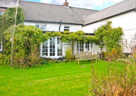 The garden at Coles Cottage, Derriton