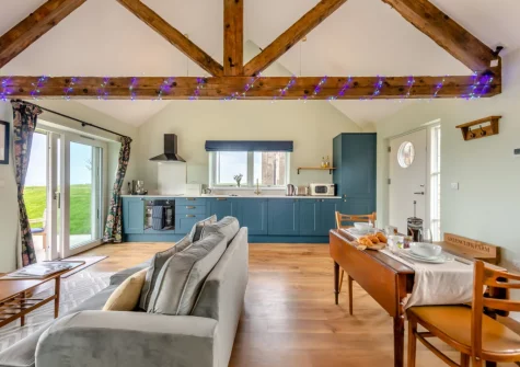 The living area, kitchen & dining area at Combes Barn, Greencliff Farm, Abbotsham