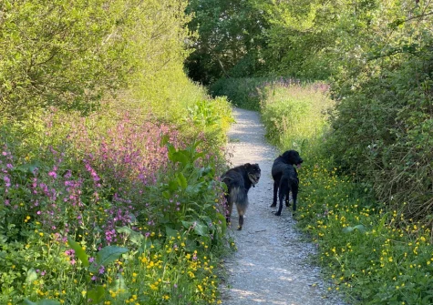 You'll find exhilarating walks directly from your doorstep when you stay at Combes Barn, Greencliff Farm, Abbotsham