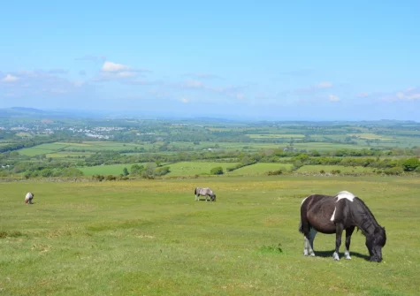 Coppermoor is set within Dartmoor National Park offering some great walks 7 scenery