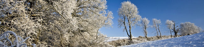 Winter is a great time to experience the "real" Devon. There is nothing prettier than a drive across ADartmoor when the tors are dressed with a skittering of snow. Long stretches of deserted sands are perfect for long walks and dogs are permitted on many beaches in winter too!