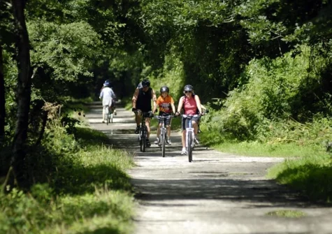 Dickins' Cottage is an ideal base for exploring along the Camel Trail & everything Cornwall has to offer