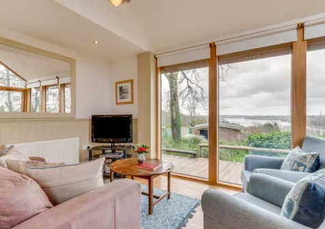 The living area at Driftwood Cottage, Bere Alston