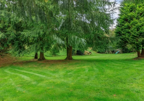 The shared garden with children's play area at Duckdown, Bittadon