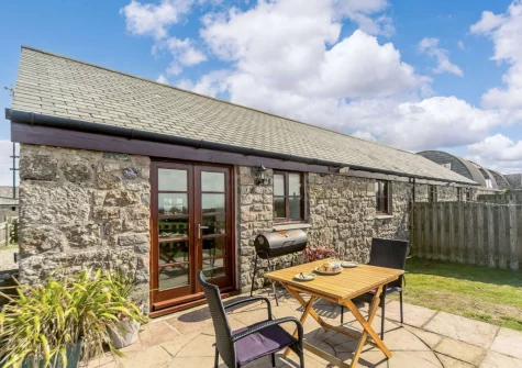 The patio, barbecue & alfresco dining area, enclosed garden at Duck's Waddle, Trevegean