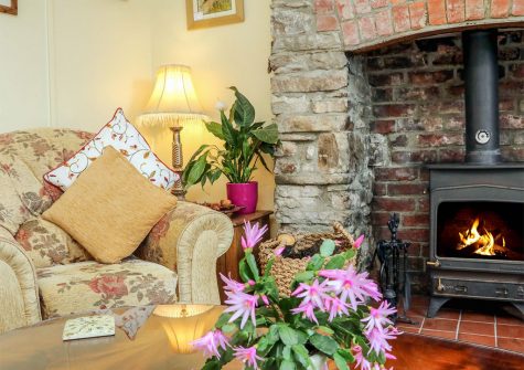 The living area at Elm Cottage, Westleigh
