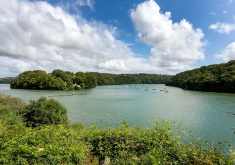 Enjoy elevated views across the river when you stay at Fal River Cottage, Malpas