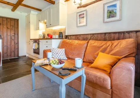 The living area at Farthings Cottage, Trefanny Hill