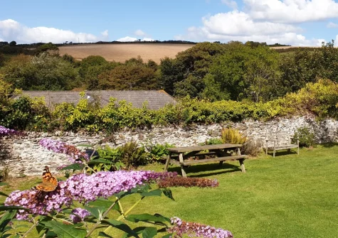 The enclosed shared garden & outdoor sitting area at Ferndale Orchard View, Chivelstone