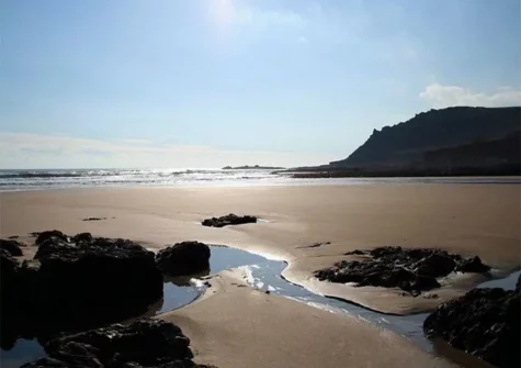 Ferndale Treetops View is an ideal base for exploring Devon's beaches and everything the county has to offer