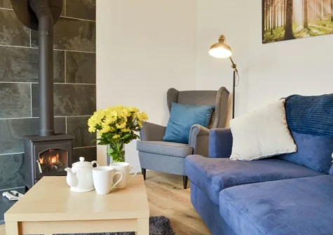 The living area at Fig Tree Cottage, Pancrasweek