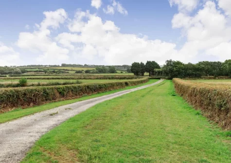 Enjoy the calm & quiet countryside location of Fig Tree Cottage, Pancrasweek