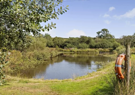 There is a fishing lake on site which guests can use