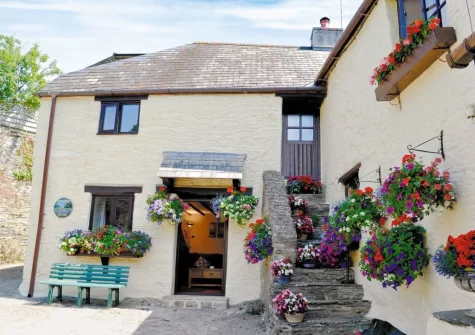 run a little plant nursery on site; there are always fabulous flower displays
