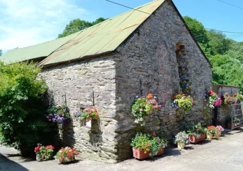 run a little plant nursery on site; there are always fabulous flower displays
