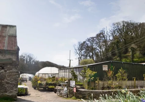 The owners run a little plant nursery on site; there are always fabulous flower displays