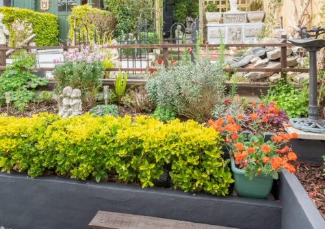 The attractive rear garden at Forget-me-not Bungalow, Seaton
