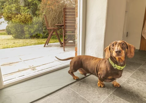 Step out onto the patio & alfresco dining area at Foxglove Cottage at Gadles Farm, Laity Moor