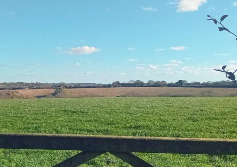 The countryside view from the patio & garden at Foxglove Cottage at Gadles Farm, Laity Moor