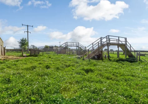 When staying at Gallantry Bower, guests are also able to explore parts of the farm when staying at