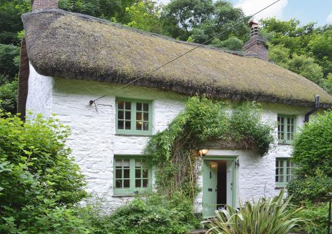 Outside George's Cottage, Bucks Mills