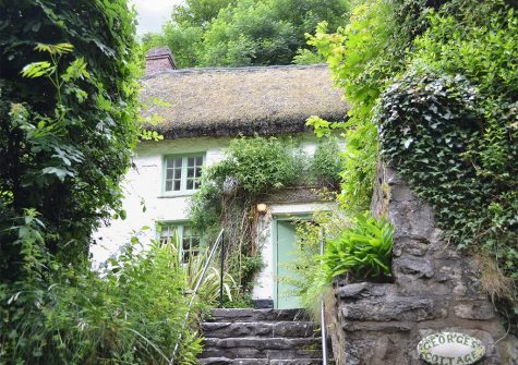 Outside George's Cottage, Bucks Mills
