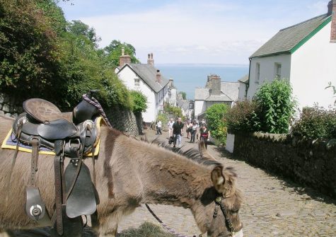 George's Cottage, Bucks Mills is just steps away from the coastal path for walks to beautiful Clovelly