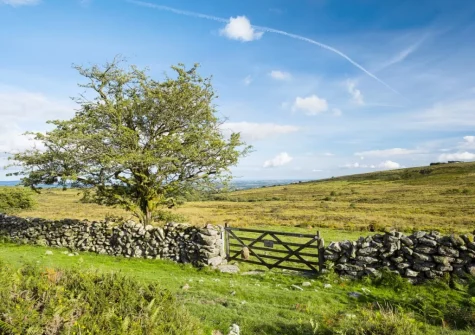 Glimsters Cottage is an ideal base for exploring Dartmoor National Park