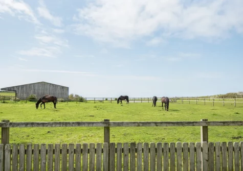The view from the patio, alfresco dining area, hot tub & garden at Gorgeous Cottage, Westward Ho!