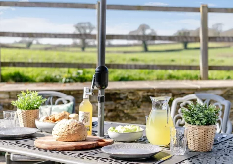 The enclosed patio & alfresco dining area at Grampys Barn, Bray Shop