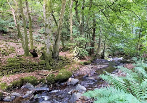 Granary Cottage is situated on a stunning complex surrounded by fabulous Exmoor woodland footpaths