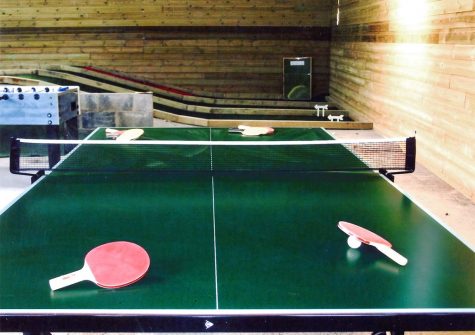 The games barn at Great Horner, Halwell