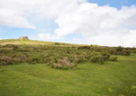 Fantastic walks on the doorstep through Dartmoor National Park when you stay at Haytor Vale Lodge
