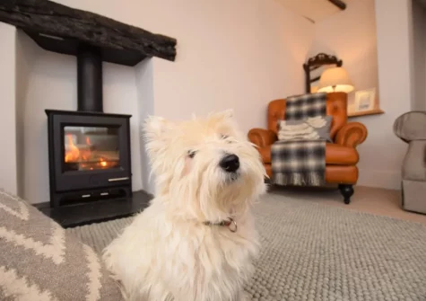 The living room at Heanton Cottage, Braunton
