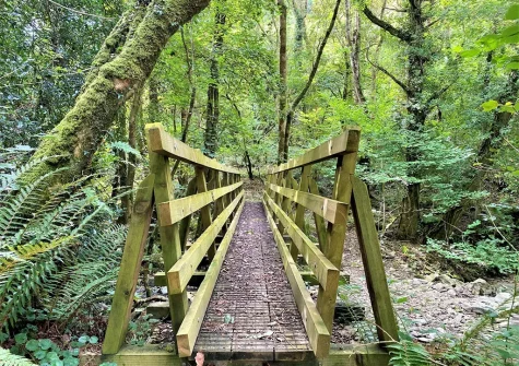 Feel the crackle of twigs beneath your feet with a choice of public woodland paths from your doorstep when you stay at Heddon Valley Farmhouse, Killington
