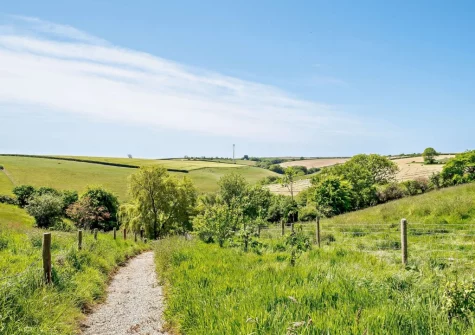 The farm is free to roam and guests are welcome to enjoy the wildlife ponds, meet the chickens & feed the ducks