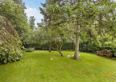 The garden at Highfield, Topsham