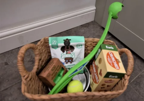 Your furry friend will love their doggy welcome pack when you stay at Hillview Villa, Combe Martin