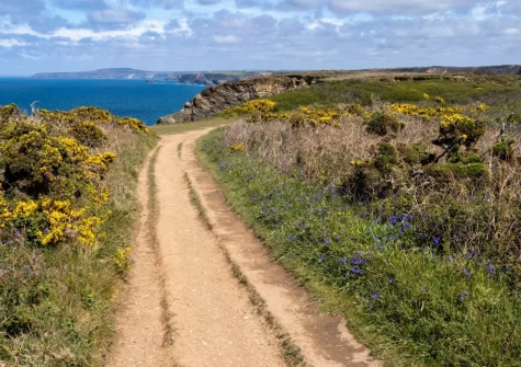 Hollow Tree Cottage is an ideal base for exploring the picturesque South West Coast Path