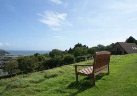 The shared meadow at Holly Cottage, Seaton