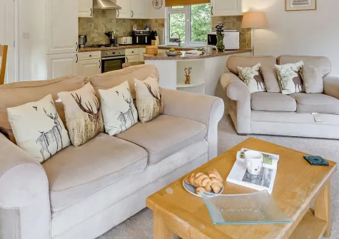 Holly Lodge, Meldon is a charming 3-bedroom retreat on Dartmoor's edge with private hot tub. Enjoy modern comforts, moorland adventures, and easy access to Devon's castles, gorges, and coastal attractions for memorable family holidays.