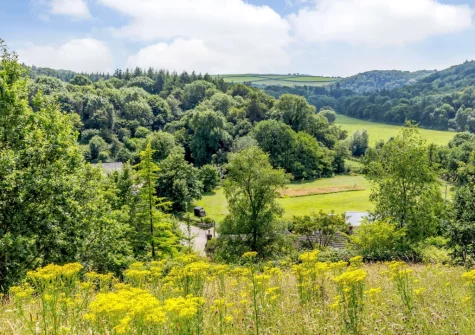 The view from the patio, alfresco dining area & garden at Honeysuckle Cottage, Weare Giffard