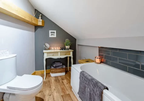 The bathroom at Horseford Snug, East Worlington