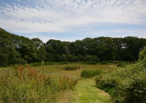 Enjoy two acres of 2 acres of woodland walks when you stay at Horseshoe Cottage, Ashwater
