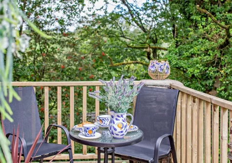 The decked balcony at Hunters Moon, Hartland Forest Lodges, Woolfardisworthy