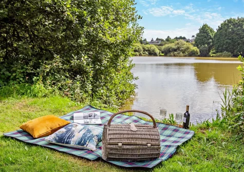Enjoy the designated picnic areas set around the lake at Hartland Forest Lodges, Woolfardisworthy