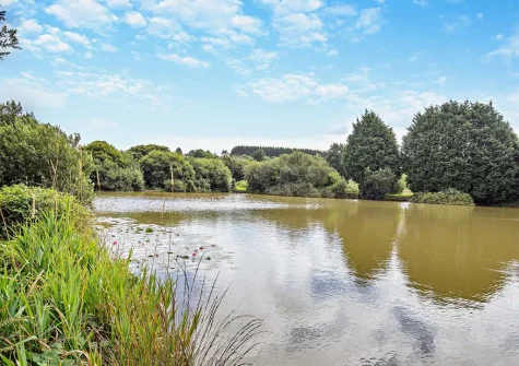 Enjoy the designated picnic areas set around the lake at Hartland Forest Lodges, Woolfardisworthy