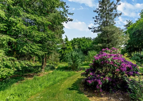 Island View is set in beautiful shared gardens which guests are free to explore