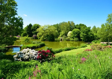 Island View is set in beautiful shared gardens & idyllic lakes which guests are free to explore