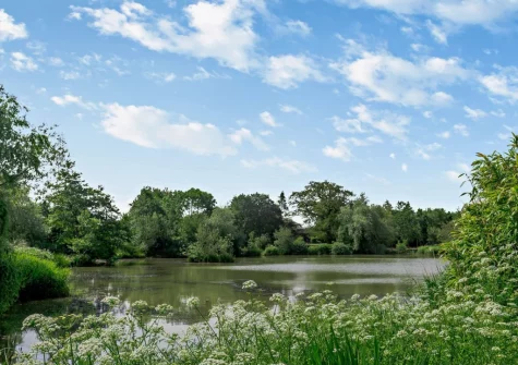 Island View is set in beautiful shared gardens & idyllic lakes which guests are free to explore